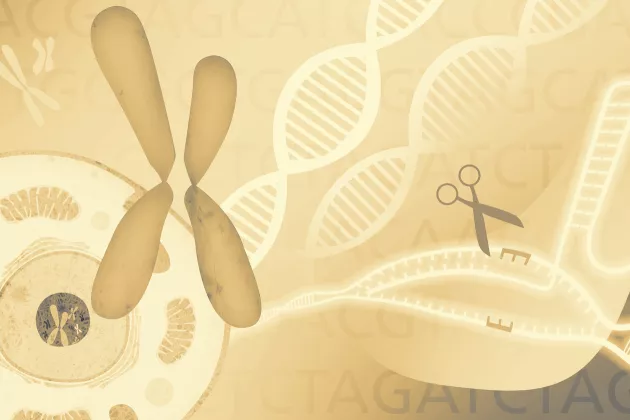 illustration of CRISPR