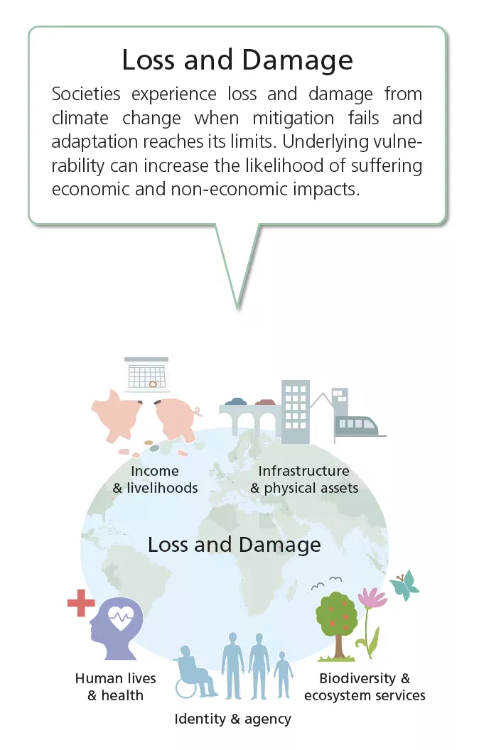 Graphic illustration explaining ecological loss and damage.