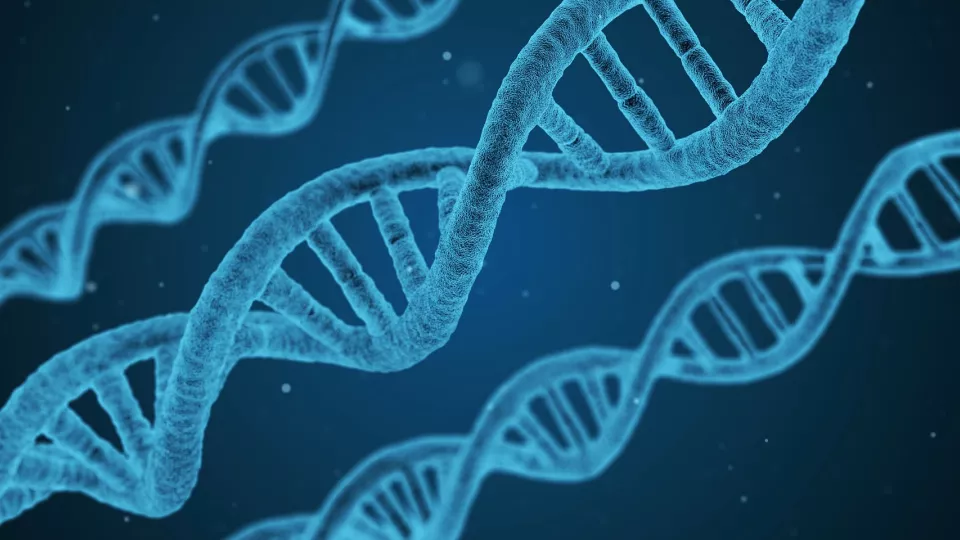 genteknik DNA