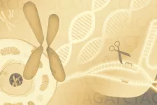 illustration CRISPR