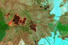   Satellitbild som visar bränder i ett jordbruksområde i sydvästra delen av Tjernobyl, Ukraina. Satellitbild.