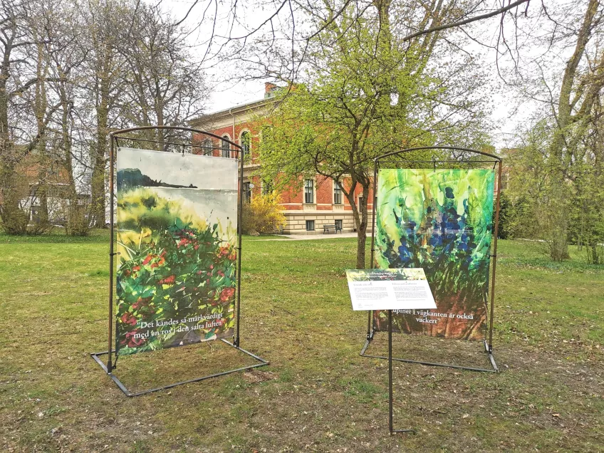 Utställning i Pufendorfinstitutets trädgård. Foto