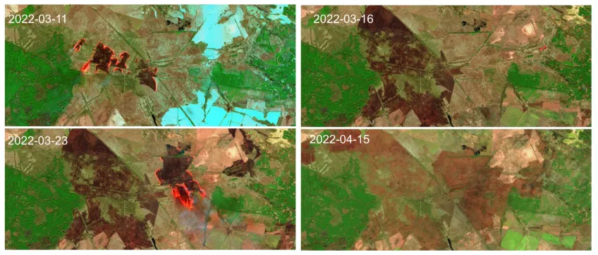 Satellitbilder visar bränder i ett jordbruksområde i sydvästra delen av Tjernobyl . Foto.